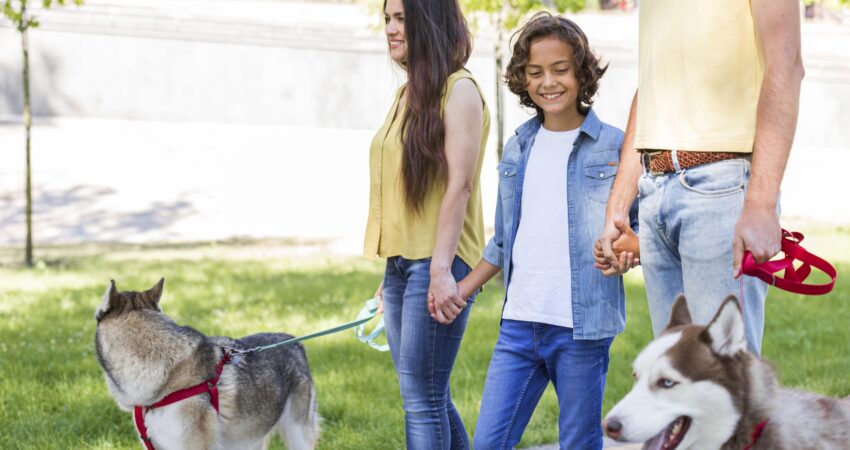 Animais em condomínio: responsabilidades, regras e boas práticas para síndicos